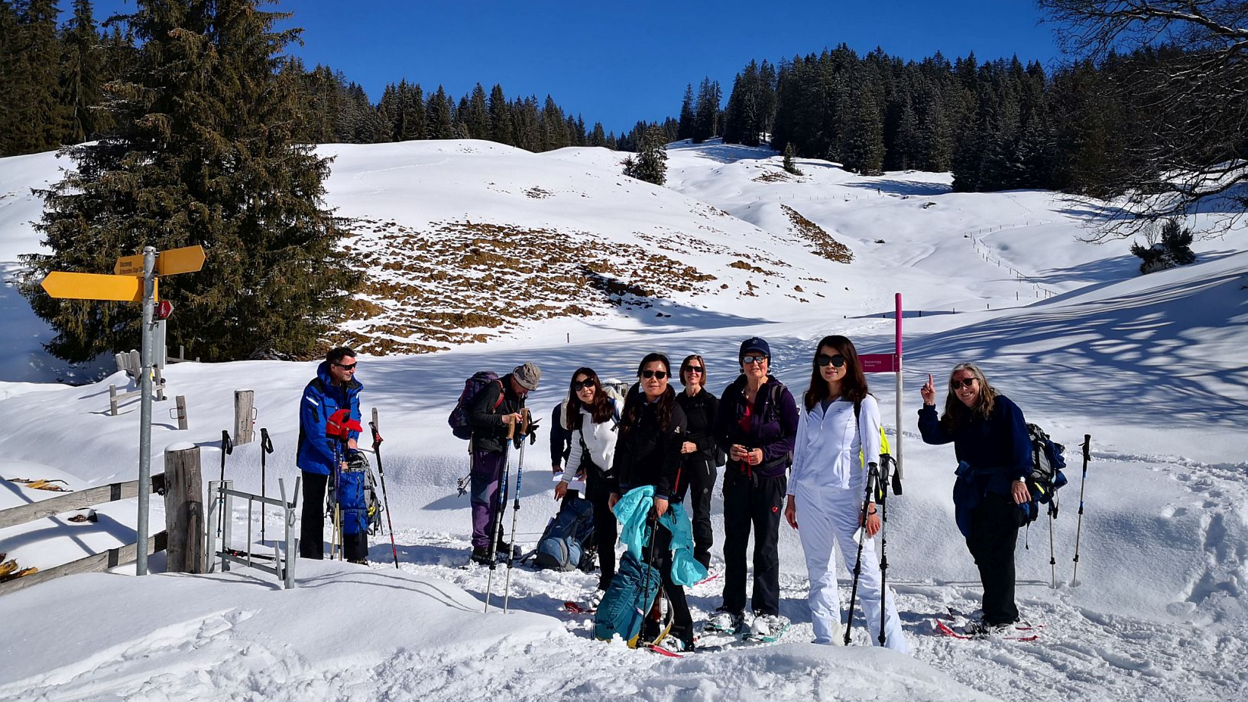 Berg+Ski: Schneeschuhwanderung  Rundtour zur Dünzenegg