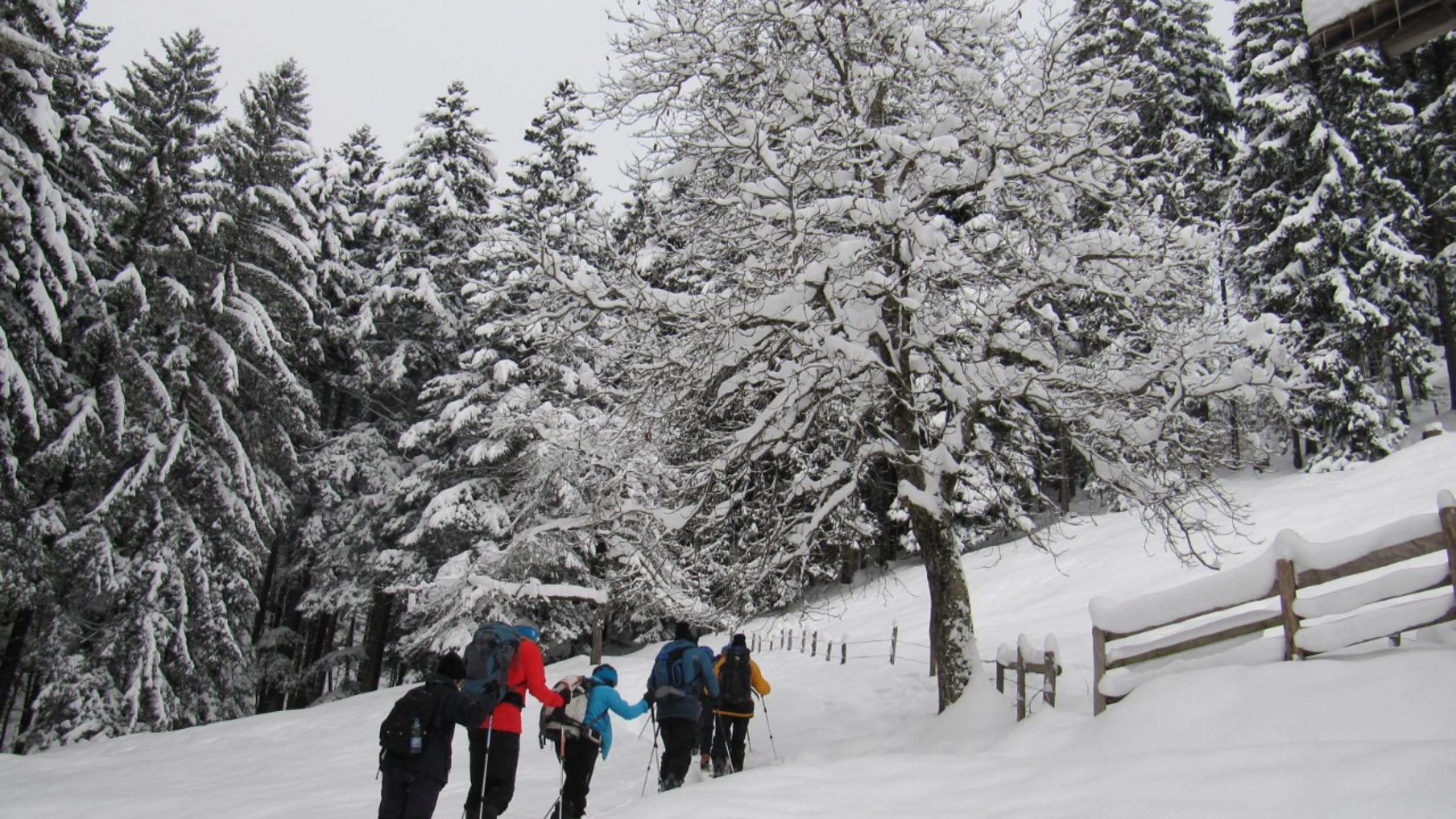 Schneeschuhwandern