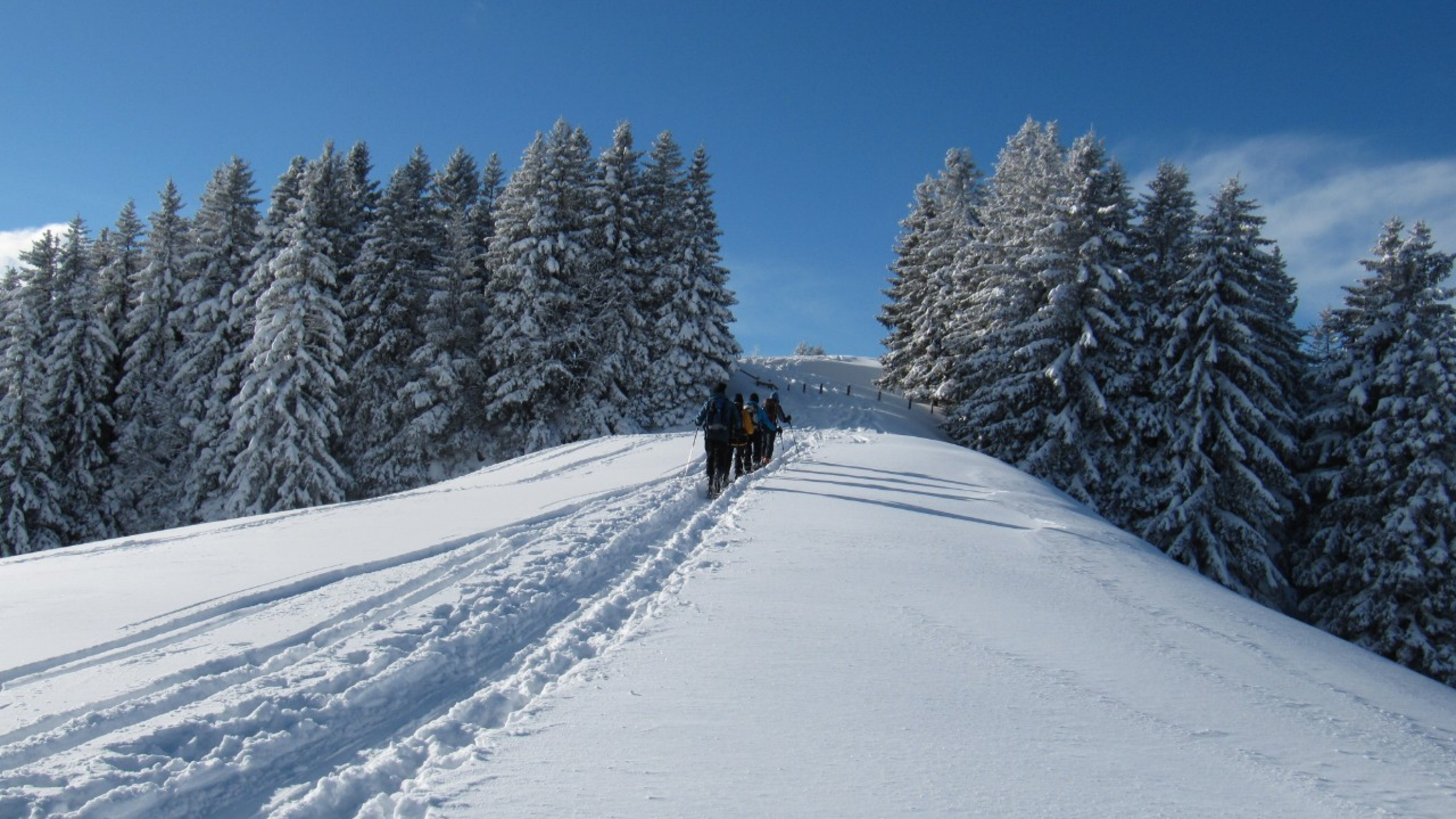 Langlauf