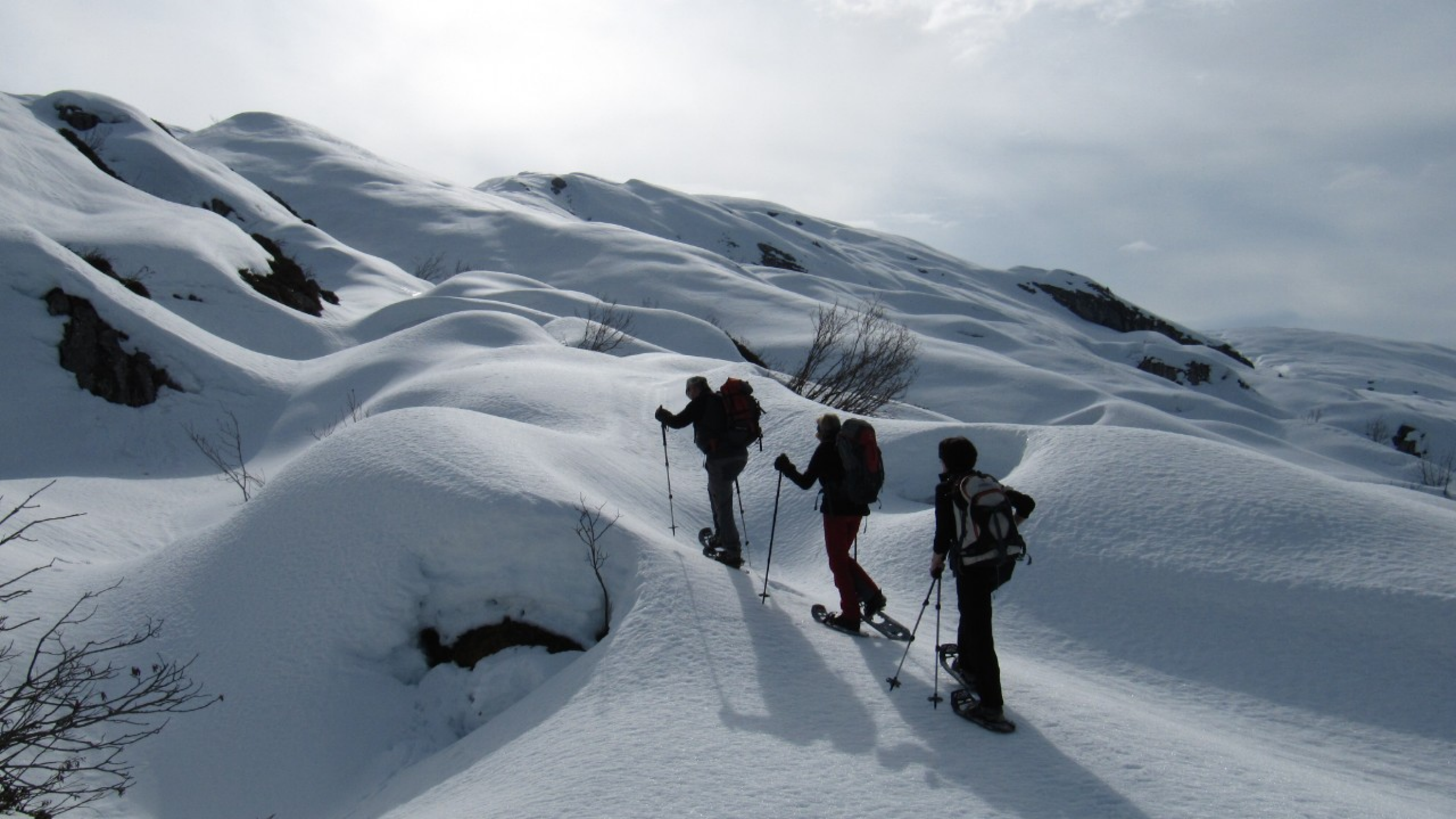 Schneeschuhwandern Silberen 2011