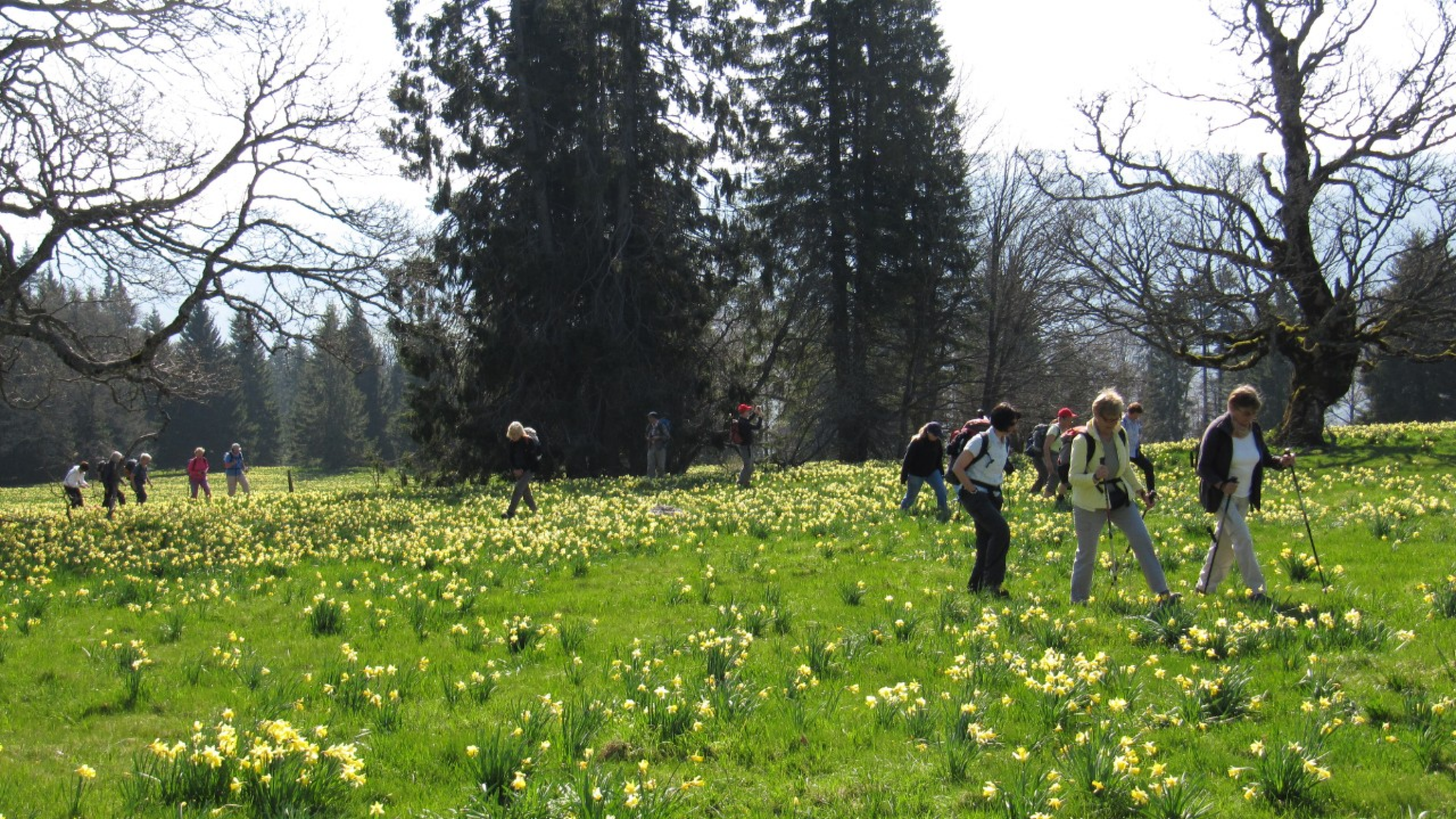 Mont Soleil 2011