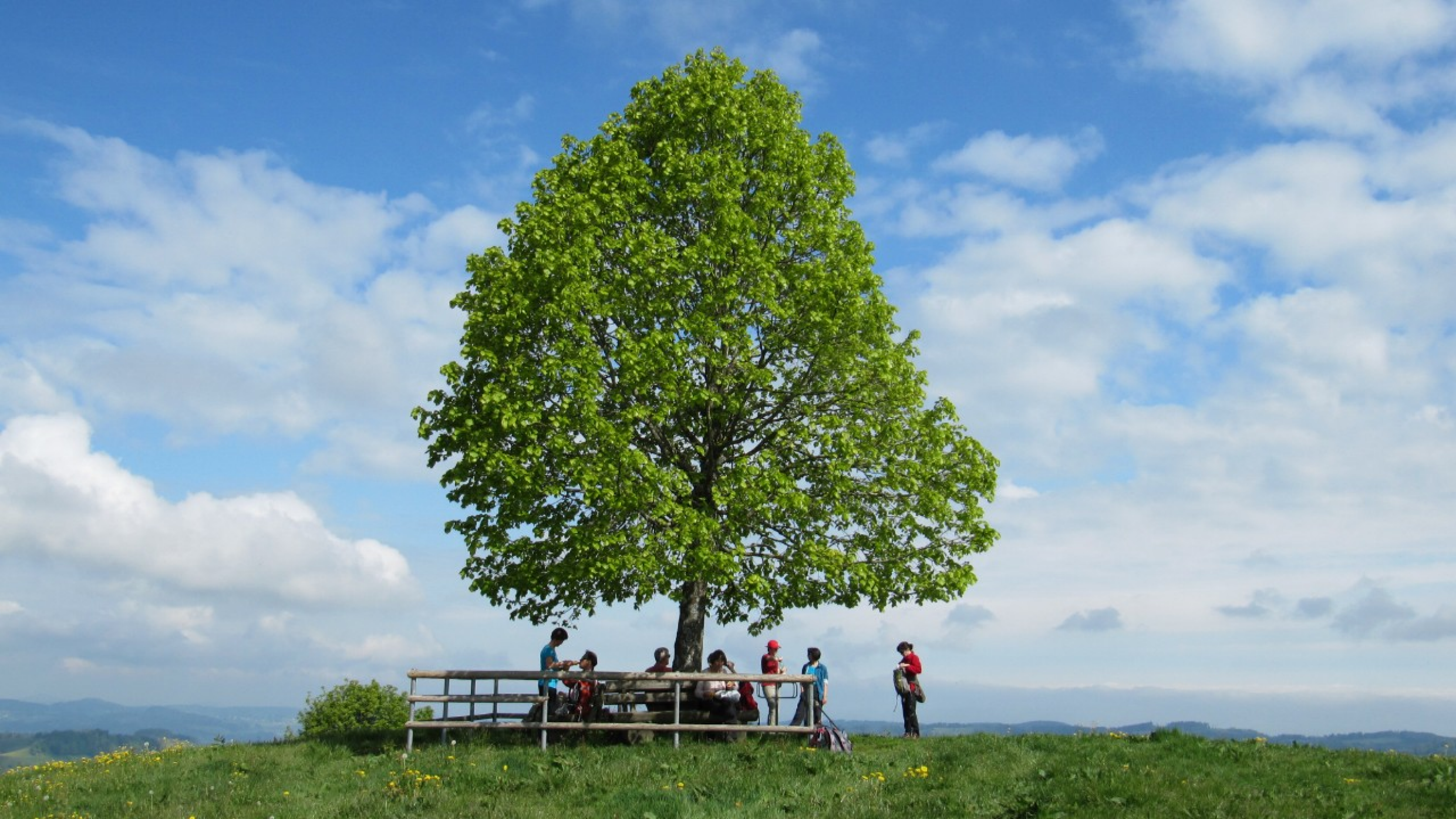 Wilkethöchi 2011