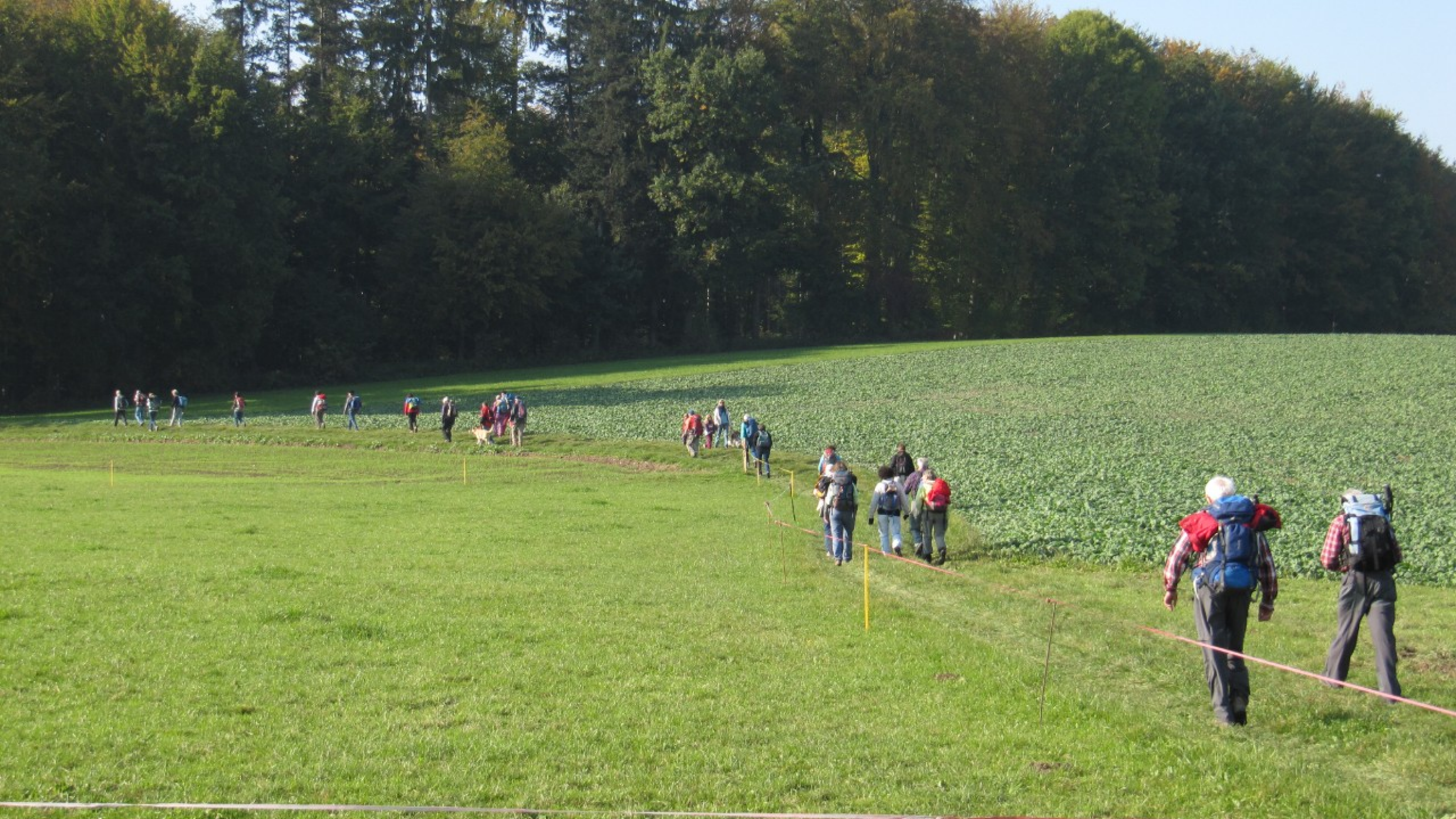 Jakobsweg Schwarzenburg Fribourg