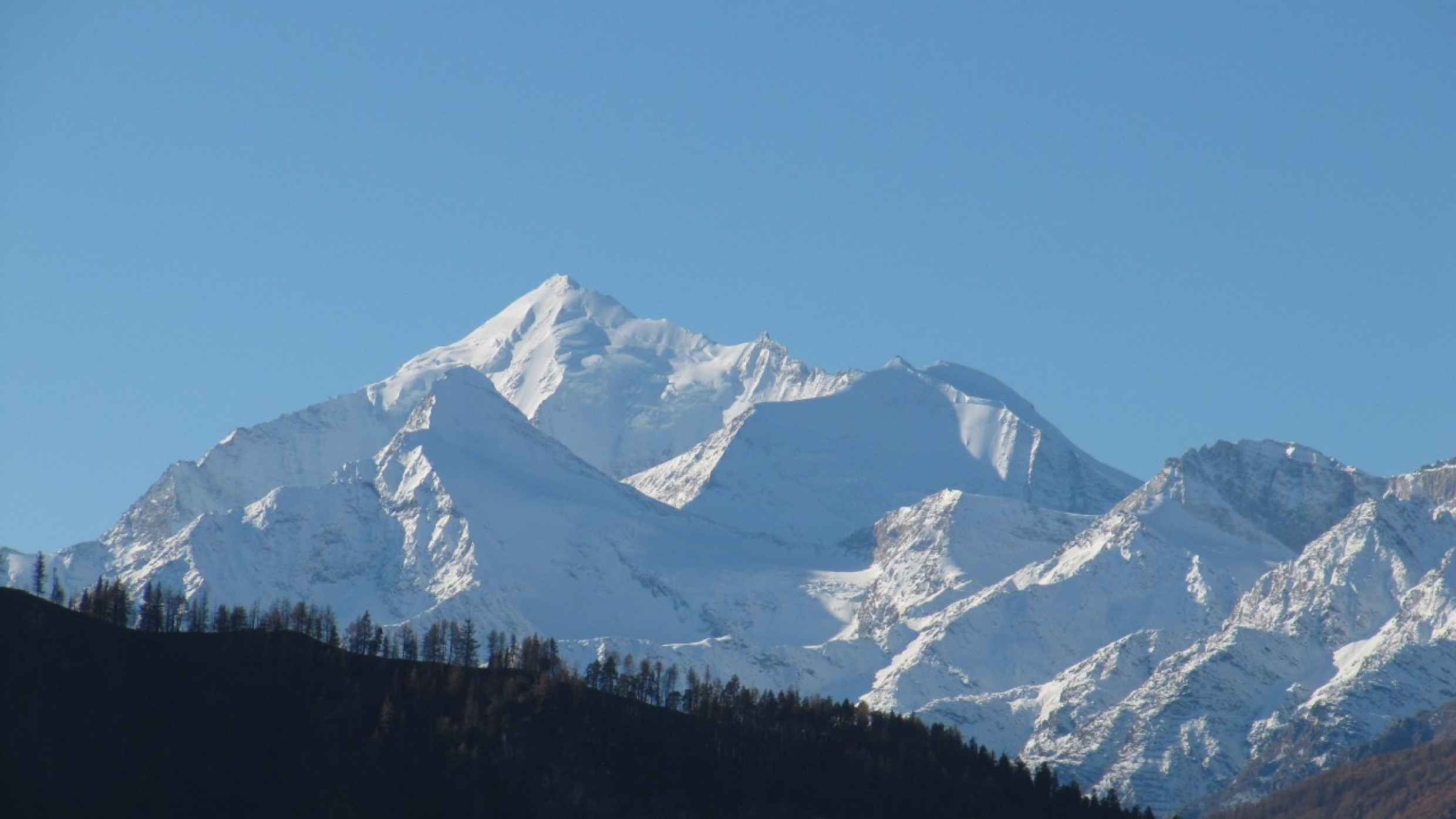 Bättchrizji