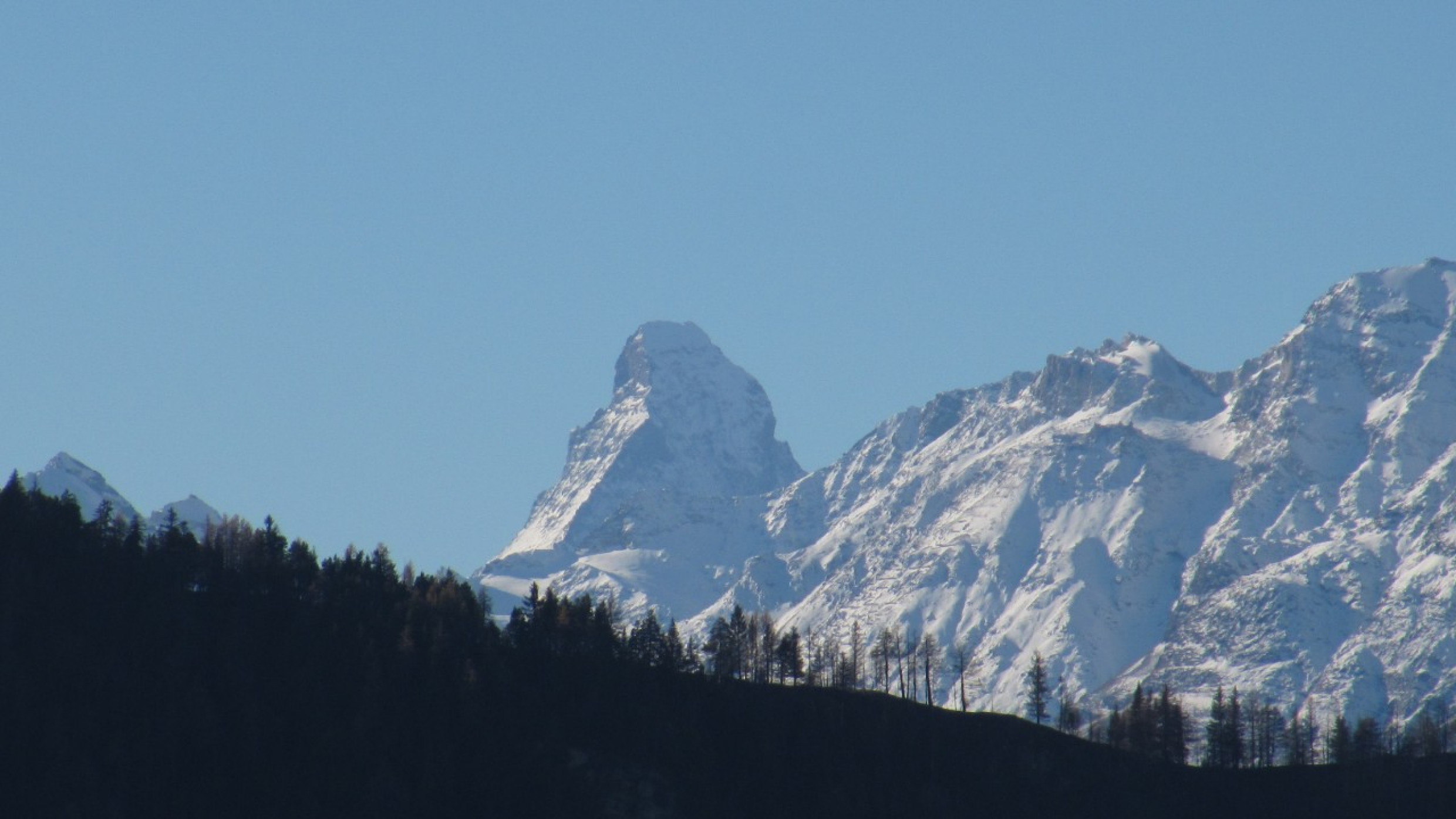 Bättchrizji