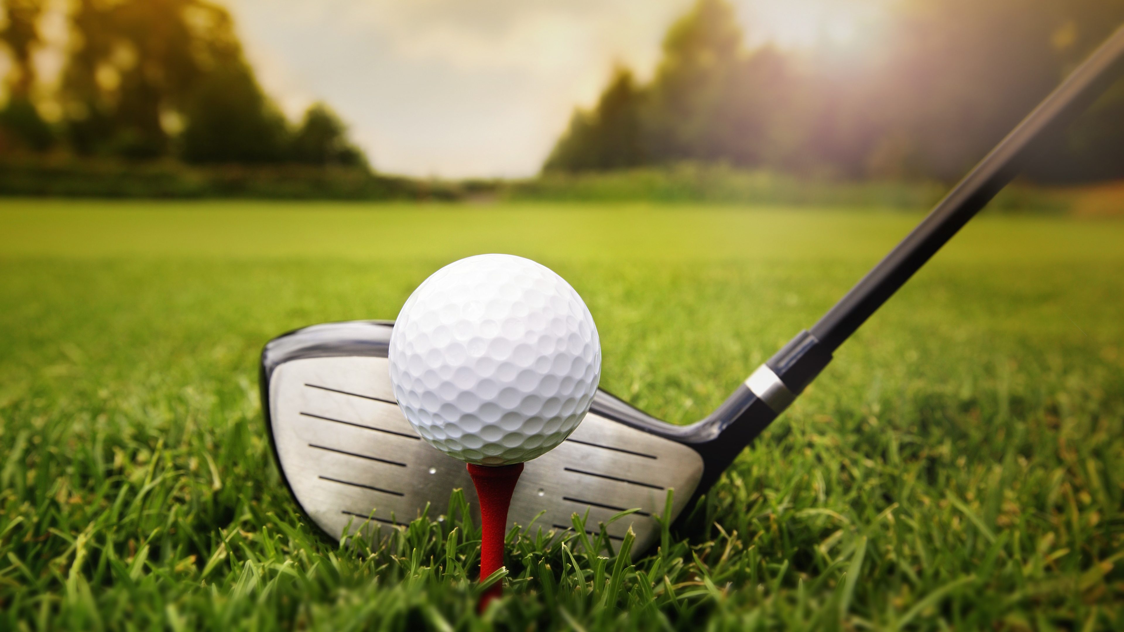 Golf club and ball in grass
